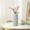 A, variant on XGFHYJEH Vase, Flower Vase, Vase Decor, Spring Vase, Short Vase, Bouquet Vase, Flower Vases Clearance, Flower Vase Decor, Vase Decorations Clearances, Ceramics Vase