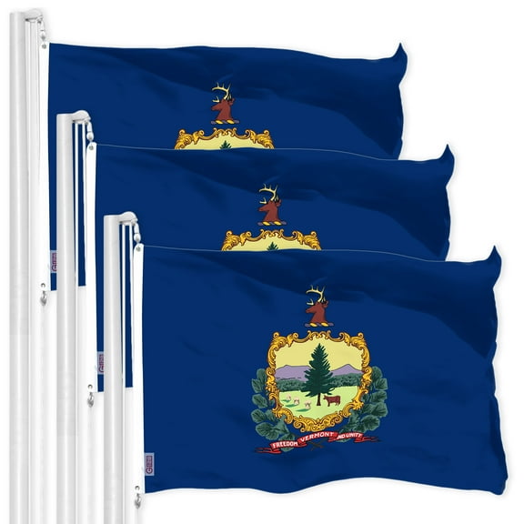 G128 3 Pack: Vermont VT State Flag | 3x5 Ft | LiteWeave Pro Series Printed 300D Polyester | Indoor/Outdoor, Vibrant Colors, Brass Grommets, Thicker and More Durable Than 100D 75D Polyester