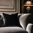 thumbnail image 6 of Plutus Black Midnight Luxe Velvet Luxury Throw Pillow, 6 of 6