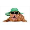 thumbnail image 4 of Dog Ceramic Toothbrush Holder, Hipster Animal Wearing Straw Hat and Sunglasses Summer Sunbathing Puppy, Decorative Versatile Countertop for Bathroom, 4.5" X 2.7", Shamrock Green and Caramel, 4 of 4