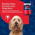 thumbnail image 6 of NaturVet Aller-911 Allergy Aid Supplements for Dogs, Bacon and Chicken Flavor, 180 Count, 6 of 10
