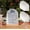 Frosted Arch 4x6 Inch (10pcs), variant on Frosted Blank Arch Sign with Wooden Stands - 10 Pack DIY Customizable Sign Kit for Wedding Table Numbers, Restaurant Party Bridal Shower (4x6 Inch)