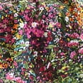 thumbnail image 2 of Levtex - Basel - Quilted Throw - 50x60in. - Multicolor Floral - Reversible Pattern - Cotton, 2 of 6