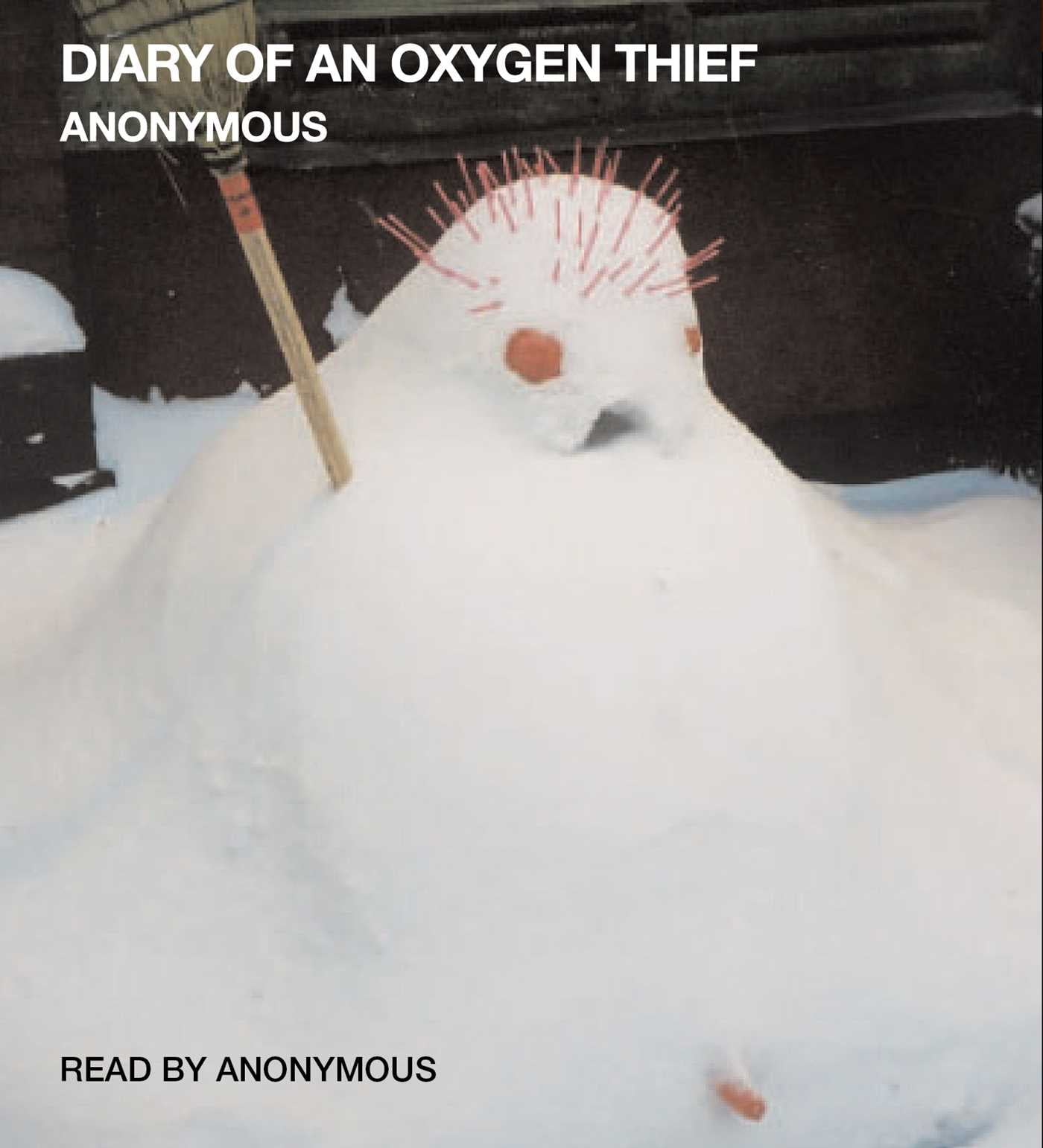 The diary of an oxygen thief summary southerndolf