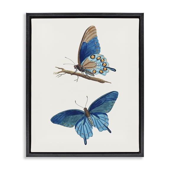 Stupell Industries Cottage Blue Butterflies Pair Black Floating Frame Canvas Art, 17 x 21, by Arlington Prints