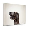 thumbnail image 2 of Tangletown Fine Art Pelei In Profile By Susan Sabo,  Gallery Wrap Canvas, 2 of 2