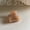 G, variant on Gold Label Mini Tortoise Shell Solid Color Hair Claw Clip - Elegant Fringe and Side Hair Accessory