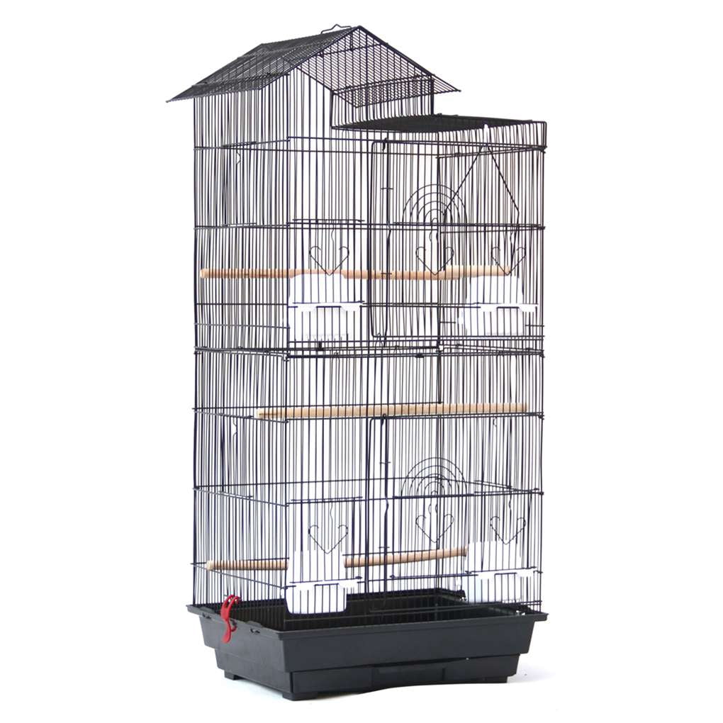 bird cage perches plastic