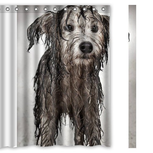 ABPHQTO Cortina de ducha Big Mutts Cortina de ducha impermeable 150x180 cm