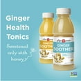 thumbnail image 2 of The Ginger People Ginger Soother with Lemon and Honey, 12 Fl Oz (Pack of 24), 2 of 5
