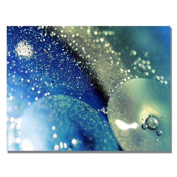 Trademark Fine Art "Land of Wishes" Canvas Art by Beata Czyzowska
