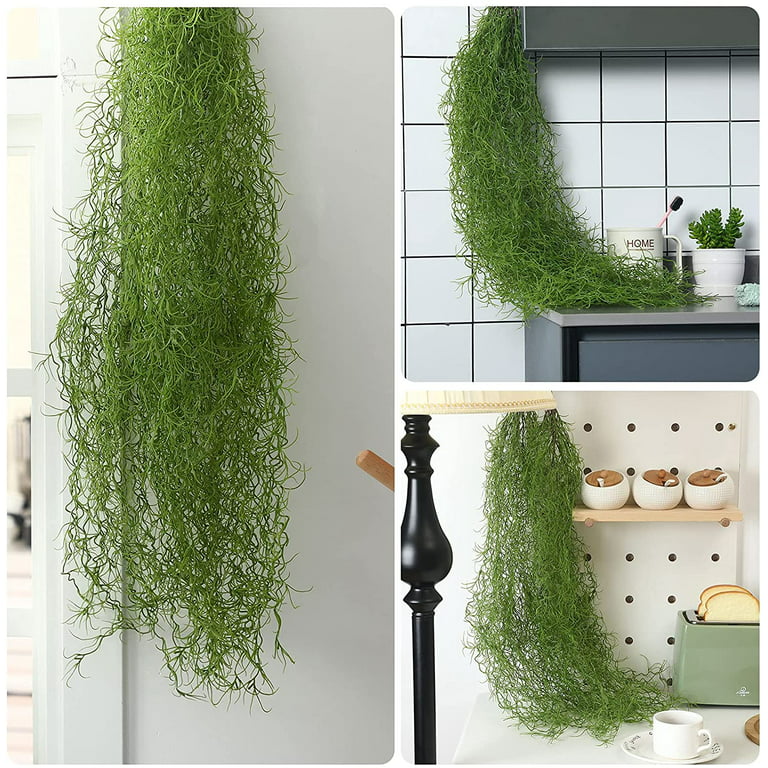 Don't forget to add Spanish Moss to your potted plants! #gardeninabasket  #topiary #spanishmoss #greenthumb
