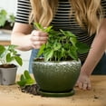 thumbnail image 3 of Ordivic 6 inch Dark Green Small Ceramic Planter with Drainage & Saucer,Modern Indoor Pot for Cactus,Office Desk & Windowsill Decor, 3 of 8