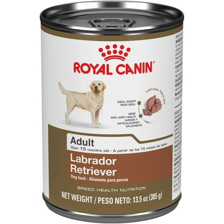 Royal Canin Breed Health Nutrition Labrador Retriever Adult Dry Dog Food 13.5 oz (Pack of (Best Dog Food For Labradors)