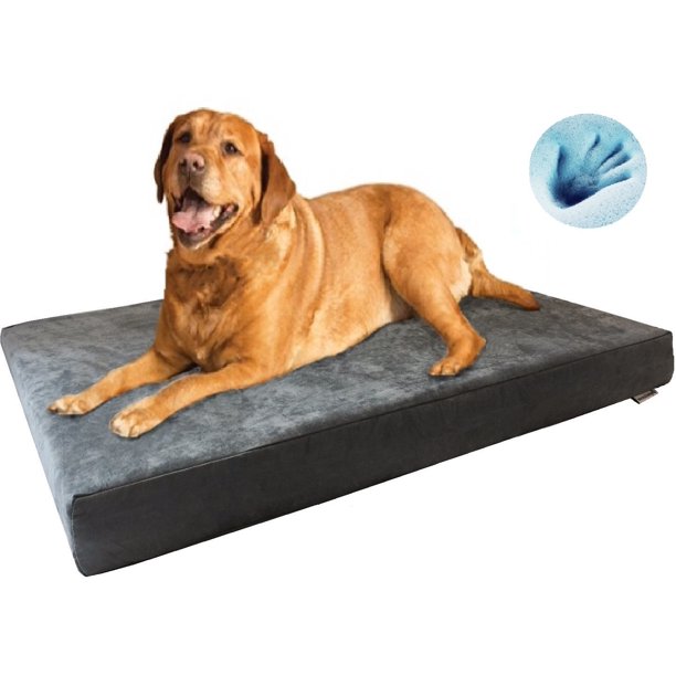 What Is The Best Dog Bed For Older Dogs
