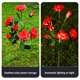 thumbnail image 1 of Muyoka 2 uds IP65 impermeable Solar Rosa flor luz ahorro de energía LED simulación flor luz para jardín Patio camino decoración Muyoka Hogar, 1 of 7