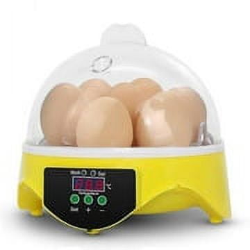 Clear Egg Incubator, Automatic Digital Poultry Hatching Machine, Mini 7 Egg Incubator Breeder for Chicken, Ducks, Birds & More