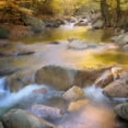 thumbnail image 2 of Kimberly, Allen 15x15 Gold Ornate Wood Framed with Double Matting Museum Art Print Titled - River Run, 2 of 4