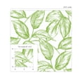 thumbnail image 4 of NextWall Greenery Sketched Leaves Peel and Stick Wallpaper, 4 of 9