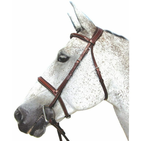 HDR Pro Stress Free Padded Bridle Horse