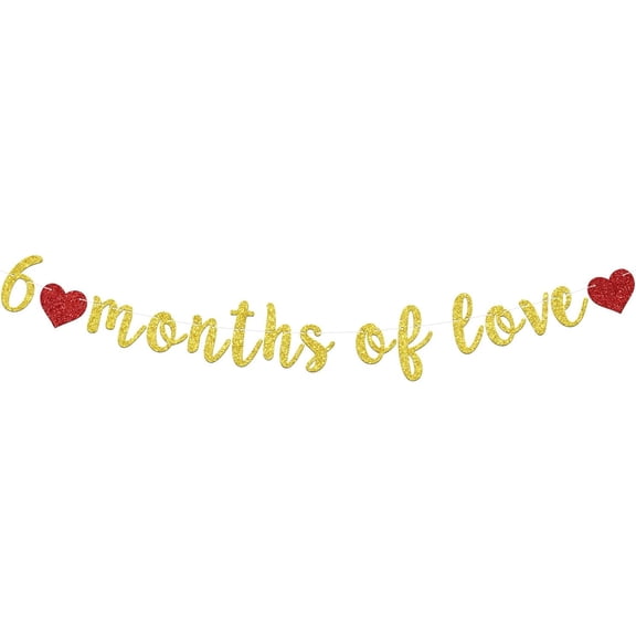 6 Months of Love Banner, Half Way To One, 1/2 Way To One, Happy 1/2 Birthday/Anniversary/Baby Shower Party Decoration Supplies