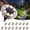 Warm White, variant on Ceevoo 8 Pack Solar Ground Lights Outdoor Waterproof, 8 LED Solar Powered in-Ground Disk Lights for Landscape Garden Walkway Pathway Yard Deck Lawn Patio, Warm White