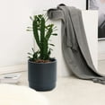 thumbnail image 3 of Round Planter Outdoor Modern Gray Planter 14 Inch Plant Pot Home Garden Decor, 3 of 9