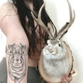 thumbnail image 6 of XIBUFE Jackalope Wall Decor,Animal Head Resin Antler Rabbit Mount, 6 of 7