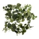 thumbnail image 1 of Greenery Garland Simulation Eucalyptus Rattan Eucalyptus Leaves Vine Wall Beautification Decor, 1 of 2