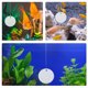 thumbnail image 3 of Raindrops Accesorio Para Acuario Doble Para Entrenamiento De Betta, 3 of 8