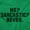 Irish Green, variant on Me Sarcastic Never Humorous Attitude Womens Fitted Plus Size Graphic Tee Brisco Brands 2X