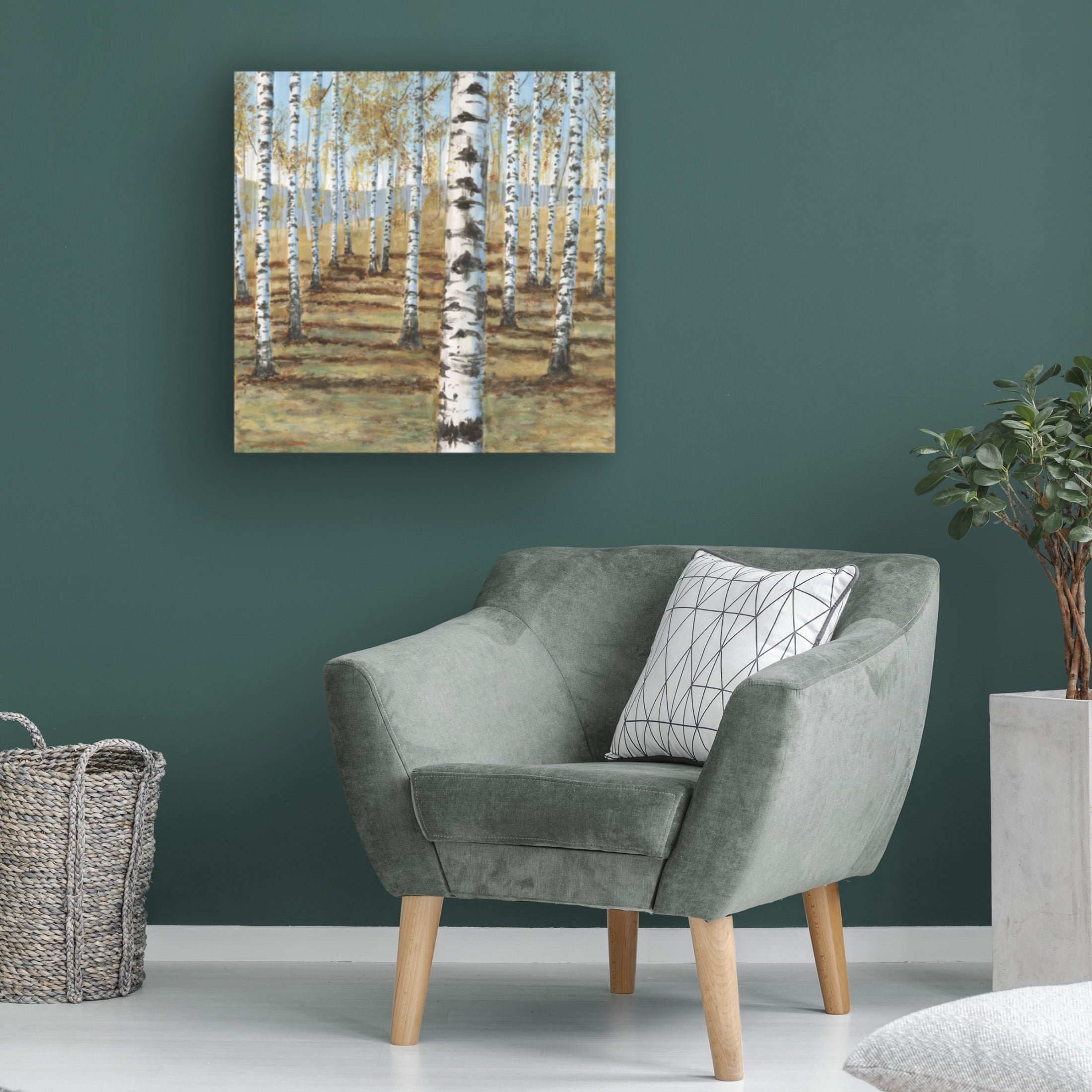 Trademark Fine Art Michael Willett  Birch Hillside I Canvas Wall Art