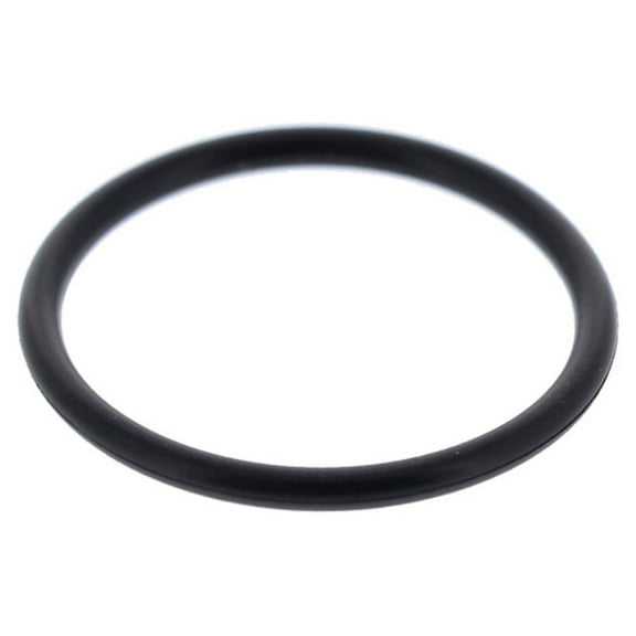 Porter Cable OEM 894746 Nailer O-Ring  BN125A  BN138  BN200A  BN200B  BN200V12  BN200V12  NS100A  NS100B  NS150A  NS150A  NS150B