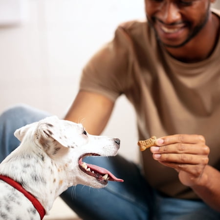 Milk-Bone Flavor Snacks Mini Dog Biscuits, Flavored Crunchy Dog Treats, 36 oz. - Image 4