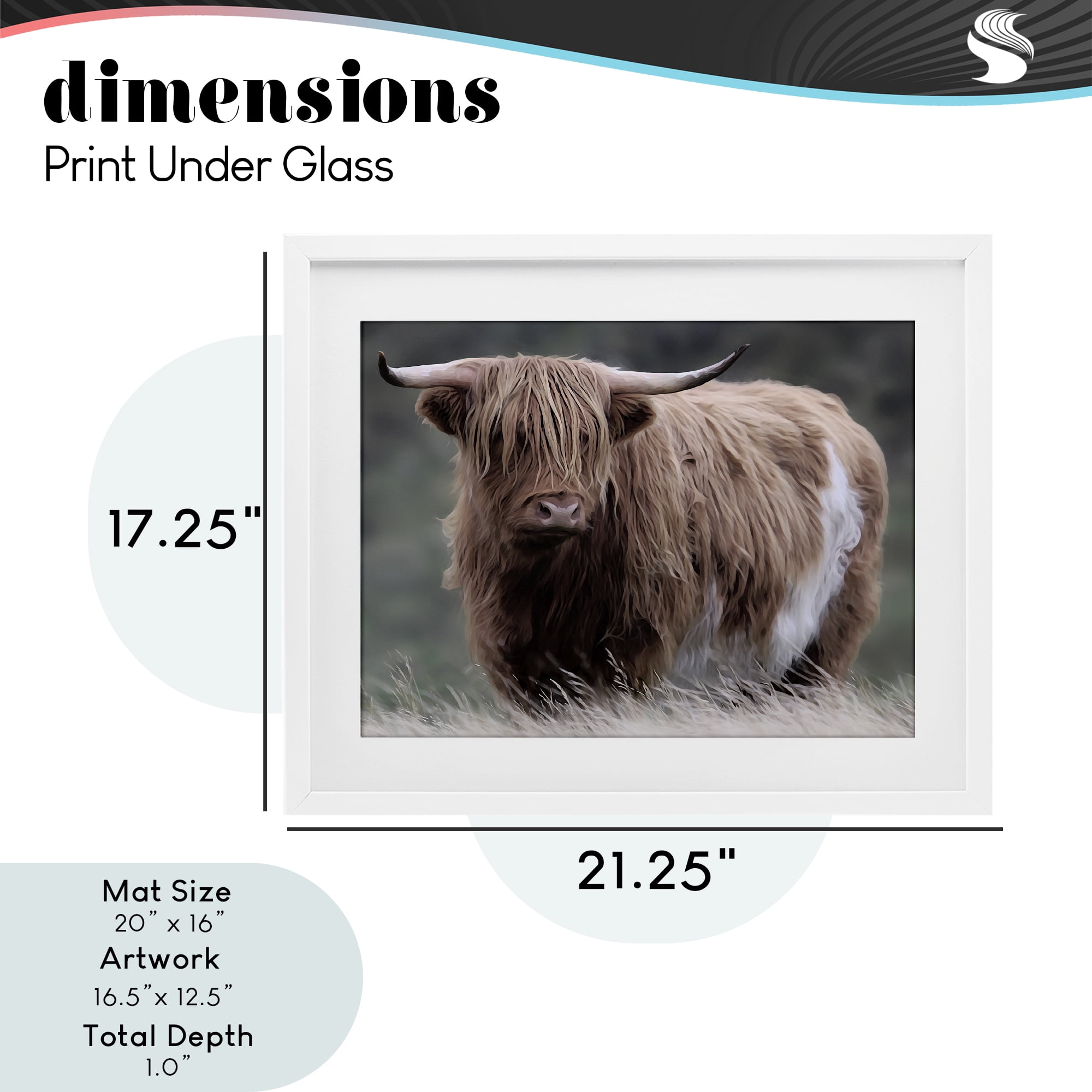 Stupell Industries Wandering Harry Highland Cattle White Framed Print Under Glass, design by Marcus Prime