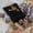 Black, variant on Premium Polyhedral Dice Set (7pcs) with a Drawstring Bag for D&D RPG MTG Table Games. Perfect for Gaming, Halloween, Christmas Gifts, and Fantasy Role-Playing Adventures