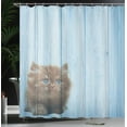thumbnail image 4 of Ambesonne Animal Shower Curtain, Vivid Rustic Kitty, 69"Wx75"L, Caramel Blue, 4 of 5