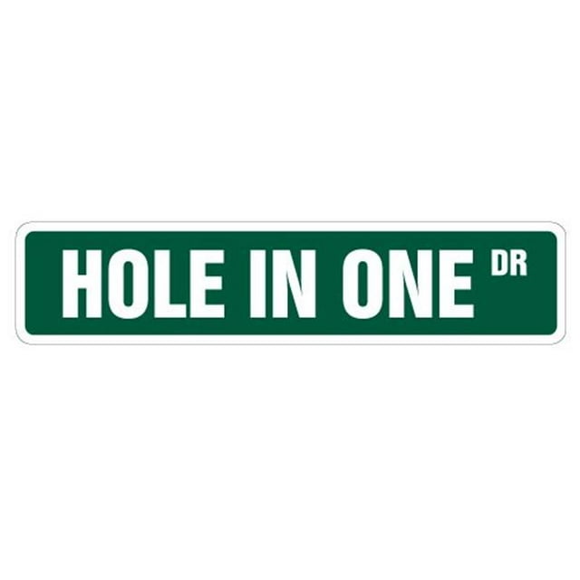 SignMission A-24-SS-Holeinone Hole In One Aluminum Street Sign for Golfer Golf Clubs Balls Lover