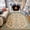 Color 4, variant on Gelasgo Modern Abstract Line Velvet Area Rug, Geometric Pattern Rectangle Floor Carpet, Soft Plush Non Slip Rug for Living Room Bedroom
