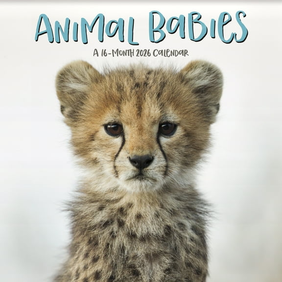 Trends International 2026 Animal Babies Wall Calendar