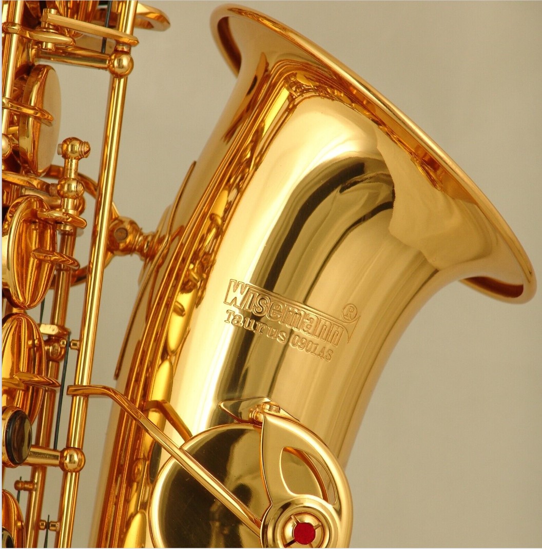 Wisemann Beginner Alto Saxophone Kit, Brass Lacquered Woodwinds