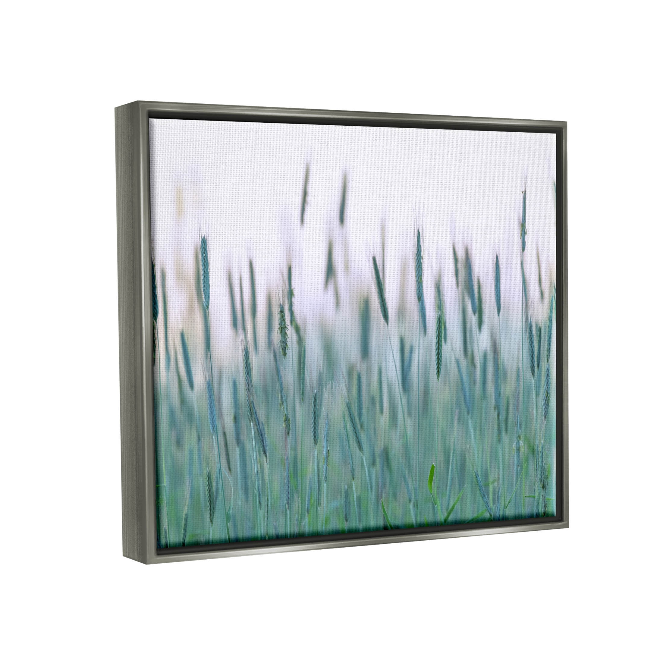 Green Wheat Field Sprigs Landscape Photograph Luster Gray Framed Art Print Wall Art