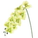 thumbnail image 1 of Uxcell 1-Pack Flores de Orquídea Artificial 9 Pétalos Grandes 37 Pulgadas Ramo de Seda Phalaenopsis Verde Claro Orquídeas Falsas para Hogar/Boda, 1 of 1