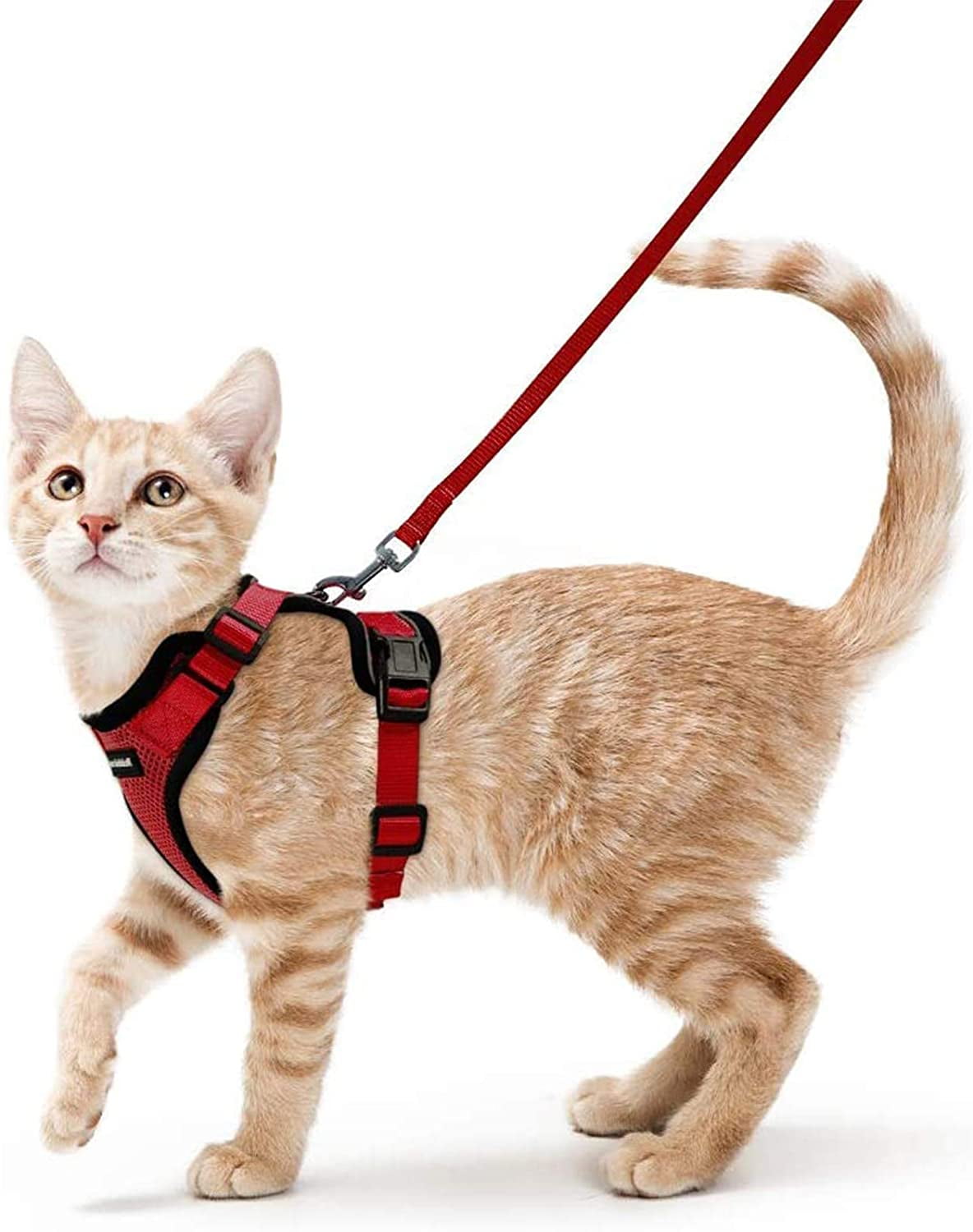 Cat Walking Harness & Leash Reflective Puppy Nylon Harness & Personalized Tag 