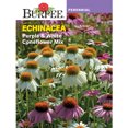 thumbnail image 3 of Burpee Purple and White Coneflower Mix Echinacea Perennial Lifecycle Flower Seed, 1-Pack, Full Sun, 3 of 3