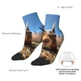 thumbnail image 6 of Naloa Close-Up Curious Squirrel Ankle Socks for Women Non Slip Socks No Show Socks Classic Low Cut Casual Socks Casual Socks, 6 of 7