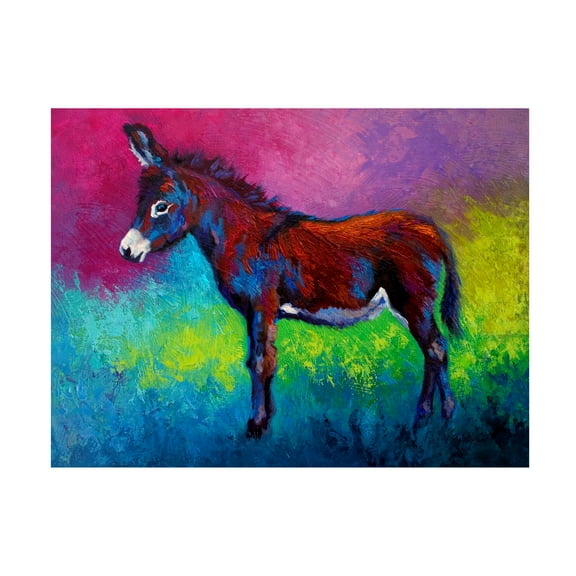 Marion Rose 'Donkey Jenny' Canvas Art