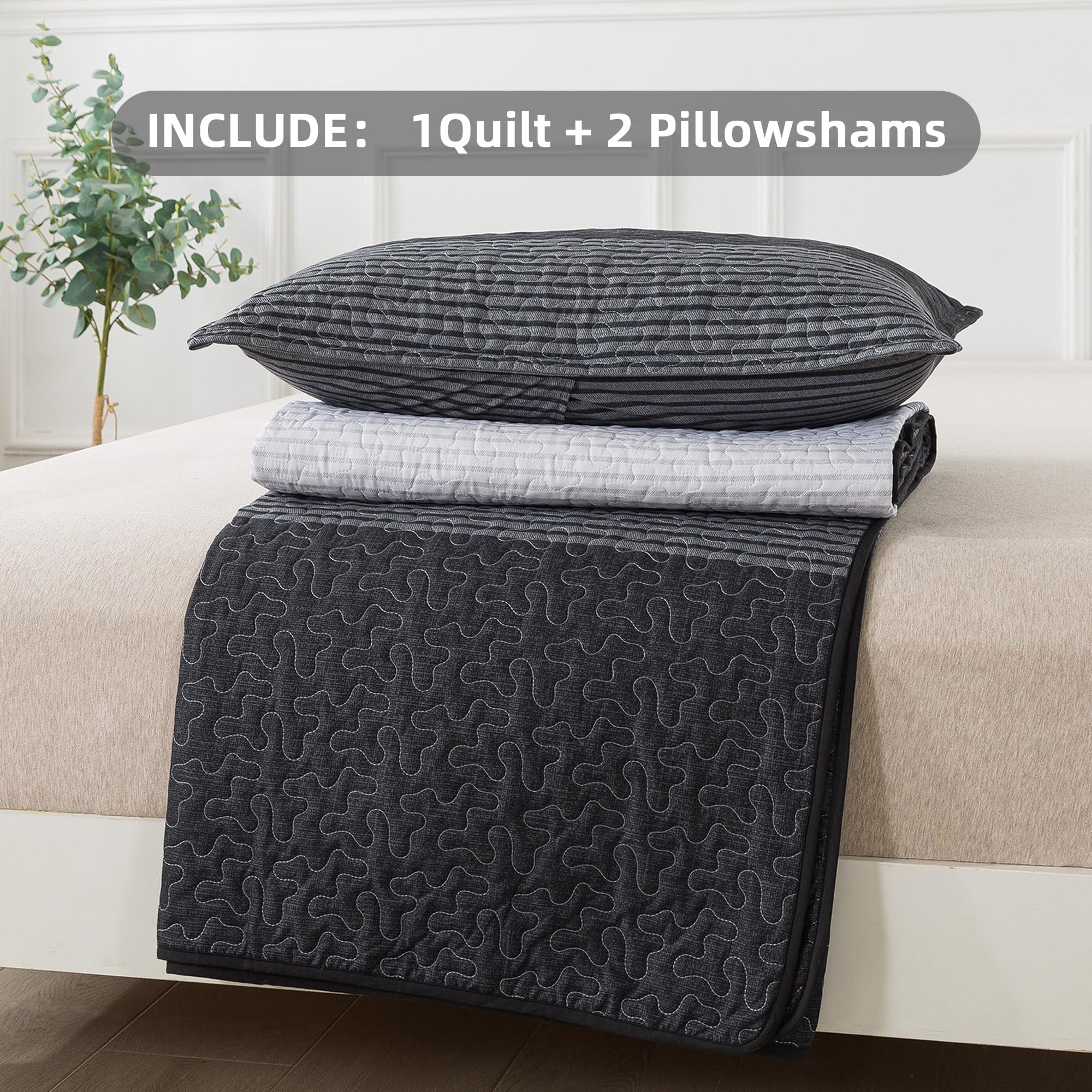 ANGENIA Queen Quilt Bedding Set Black and White, 3 Pieces Patchwork Striped Ultra Soft Lightweight Bedspreads, Coverlets Set with 2 Pillow Shams for All Seasons (90"x96")