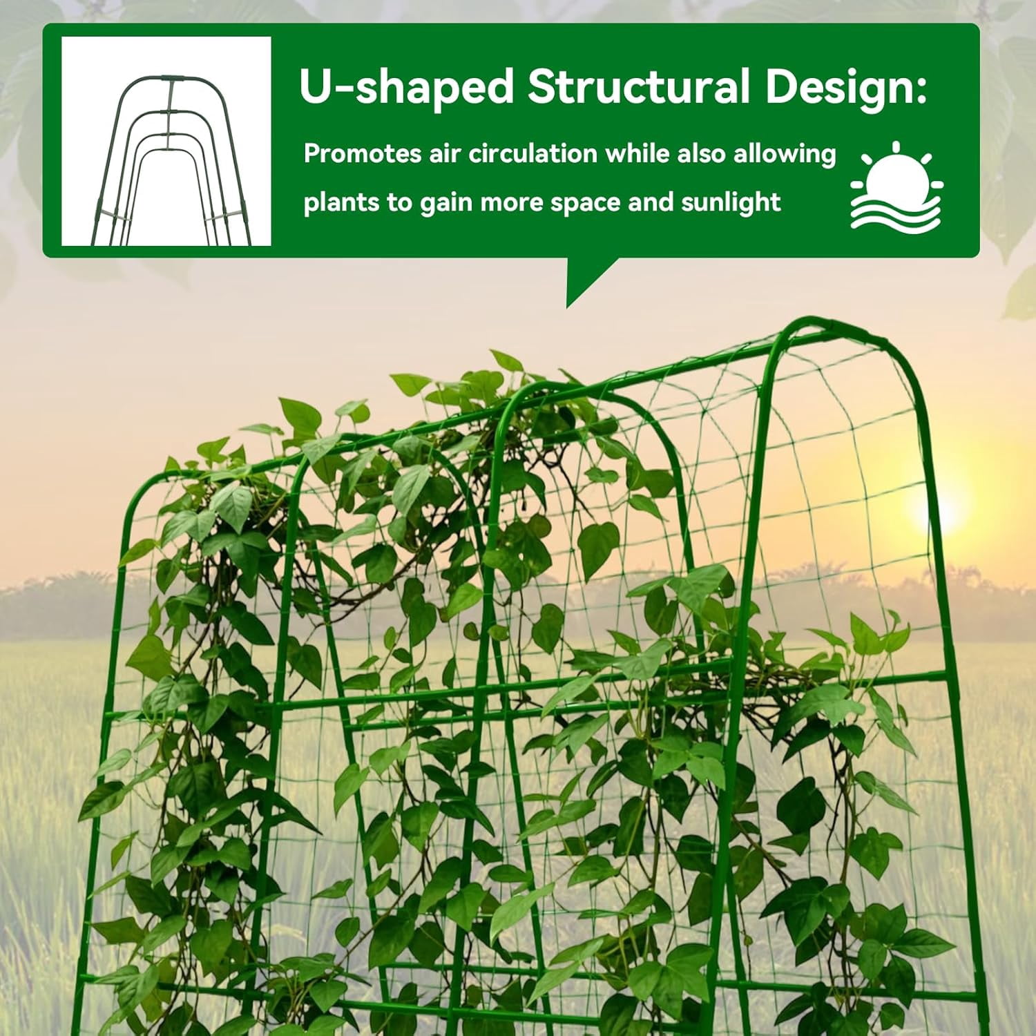 Cucumber Trellis - 62.4"*50" Cucumber Trellis for Raised Bed with Plastic-Coated Steel Pipe, U-Shape Garden Trellis for Climbing Plants, Garden Trellis for Cucumbers, Beans(Green)