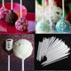 thumbnail image 3 of Farfi 100pcs 10cm Lollipop Sticks Chocolate Cake Lolly Candy Diy Mold Craft Decor, 3 of 5